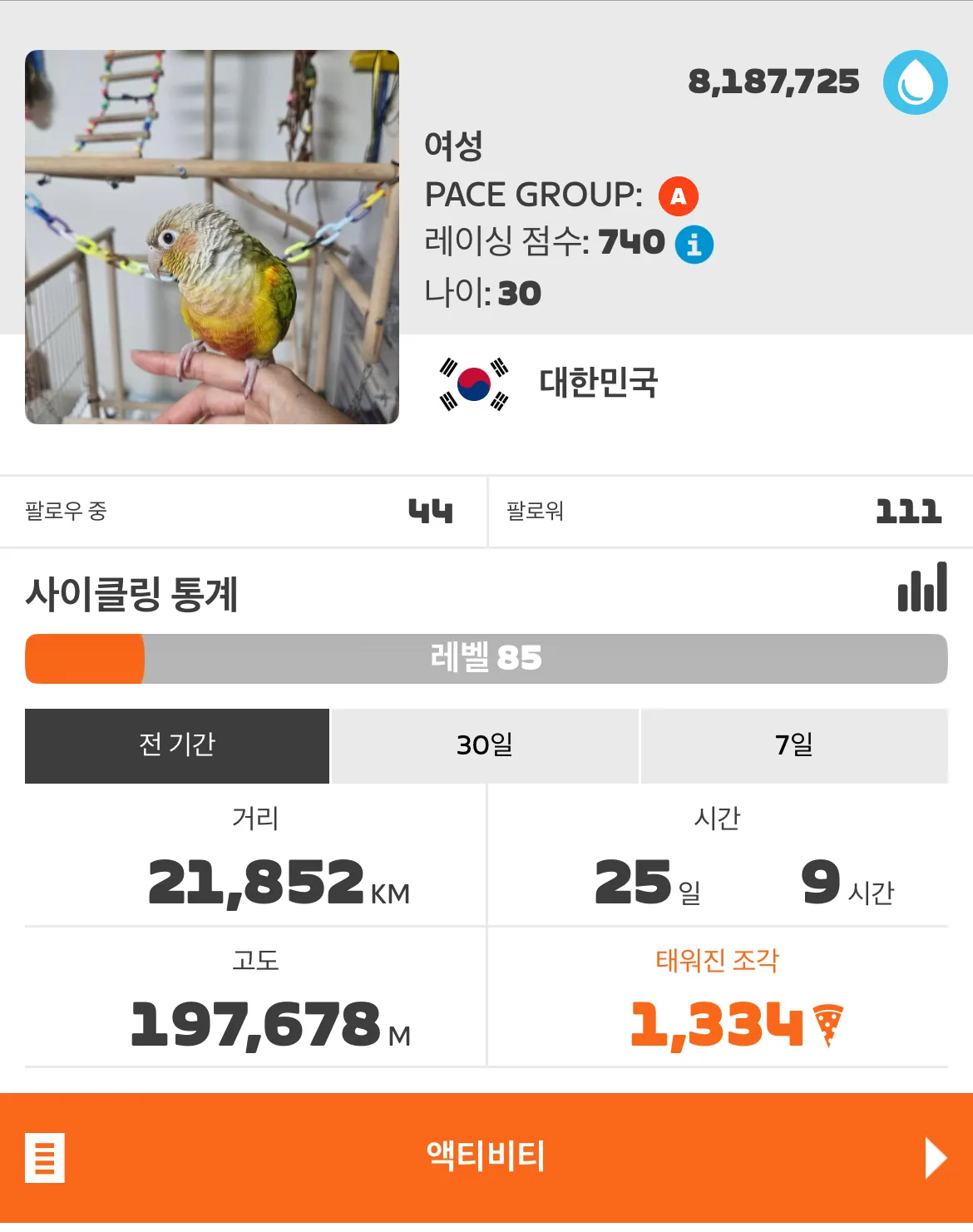 즈위프트 레이스 타실 분?